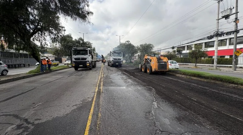 La Avenida Galo Plaza Lasso ha comenzado su transformación